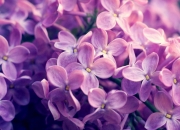 爱游戏世界杯2026-魔术翻盘新疆队，武切维奇状态火热，一场跨越地域的篮球对话