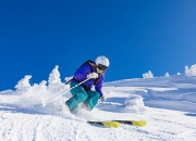 爱游戏网页版-赛道与球场，杰伦·格林如何以F1精神点燃团队引擎