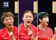 爱游戏入口-中国队横扫印度队，辛杜惊艳四座