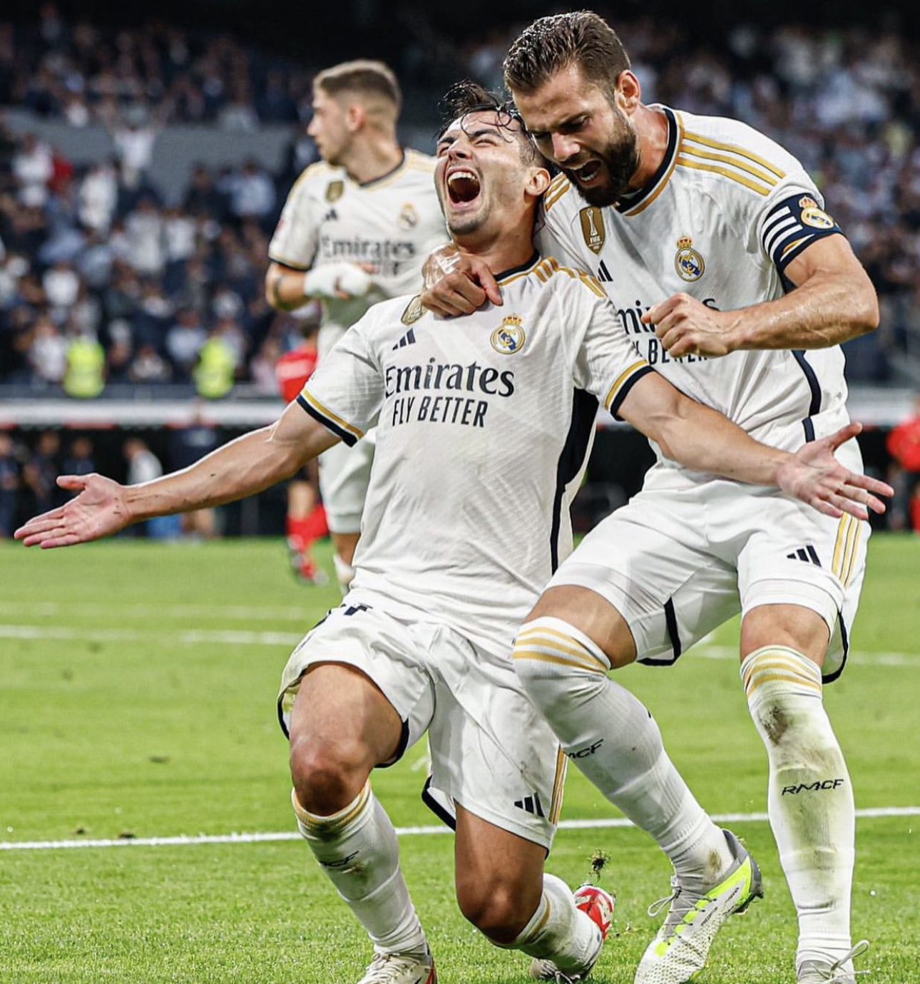 阿根廷完胜土耳其，伊布扛起全队