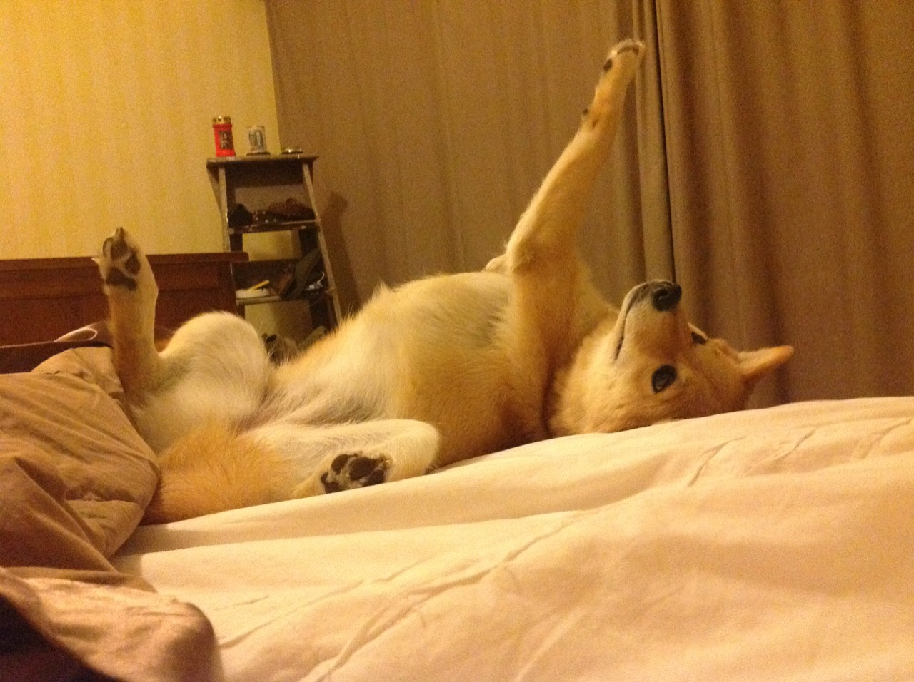 贝林厄姆一锤定音，巴西险胜瑞典背后的战术博弈与未来启示