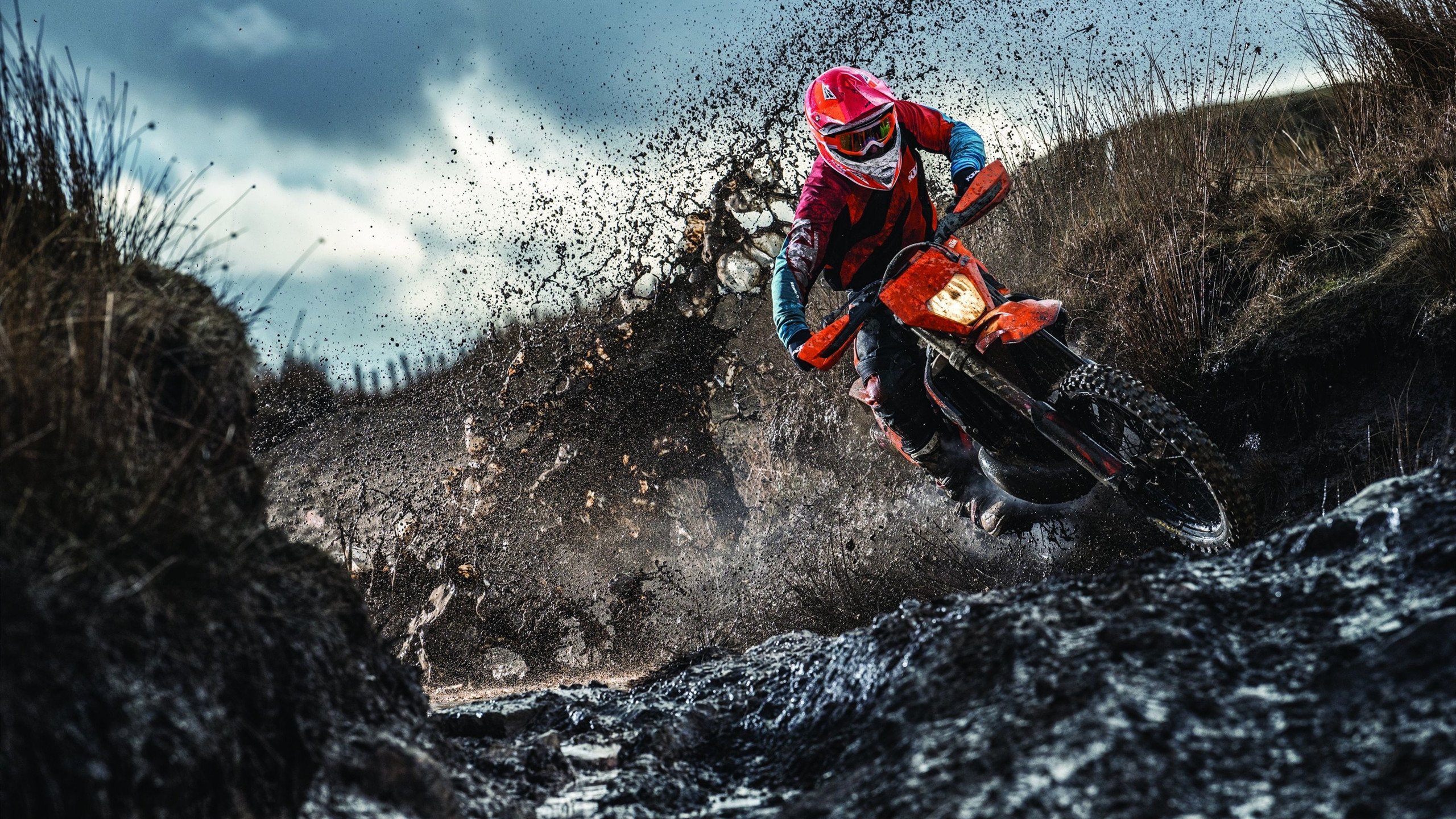 赛场风云录,法国羽球完胜中国,桃田贤斗率队展王者风范